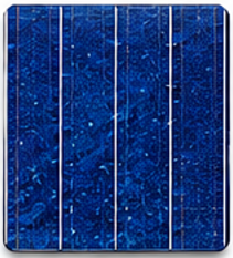Panel